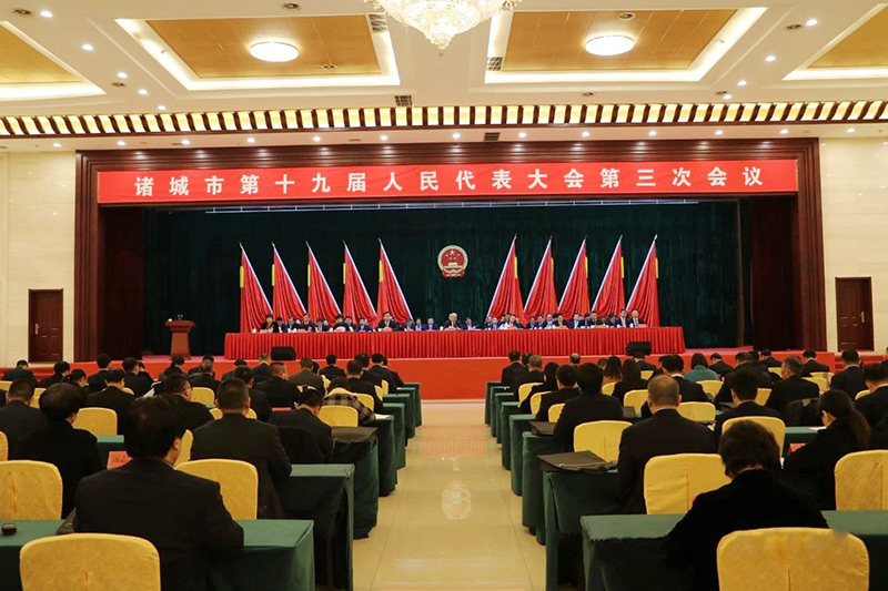 Spotlight on the two sessions | NPC deputies and CPPCC members from Dongxiao Biology attend the two 