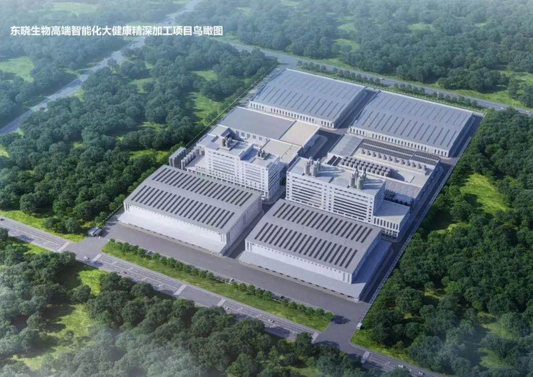 大健康项目效果图.jpg